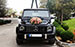 MERCEDES-BENZ G 350 AMG  (10)