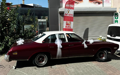 1974 Buick Regal
